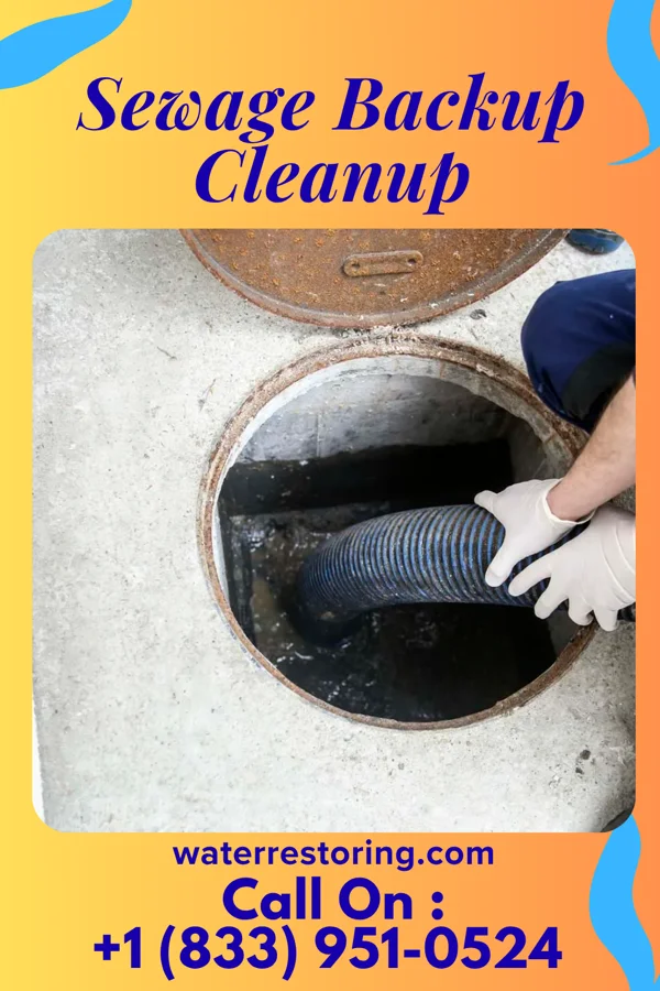 Sewage Backup Cleanup in Nashua, MN